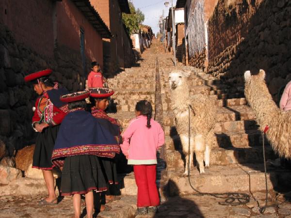 Lama's in de stad, Zuid-Amerika