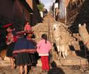 Lama's in de stad, Zuid-Amerika