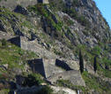 landschap