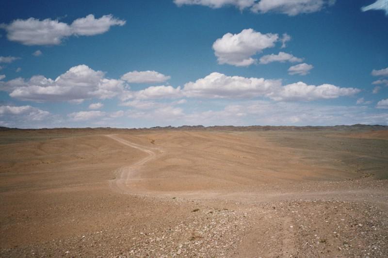 landschap