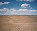 landschap