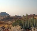 Namibië Damaraland