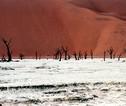 Deadvlei Namibië