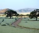 Rondreis Namibië