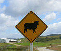 road sign