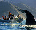 Kaikoura