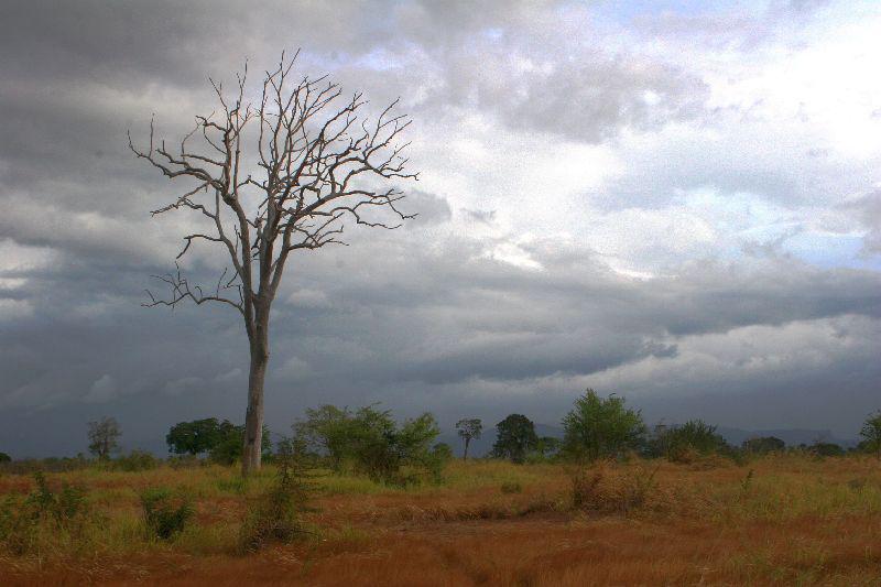 Onderweg Sri Lanka