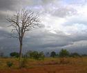 Onderweg Sri Lanka