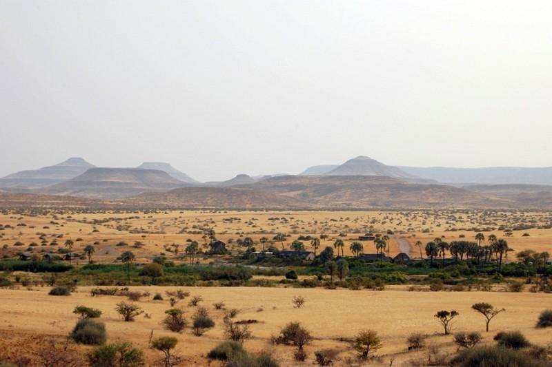 Palmwag Namibië