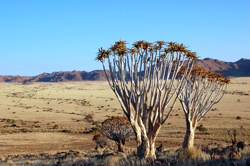 Kuiseb canyon