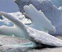 IJssculptuur Antarctica