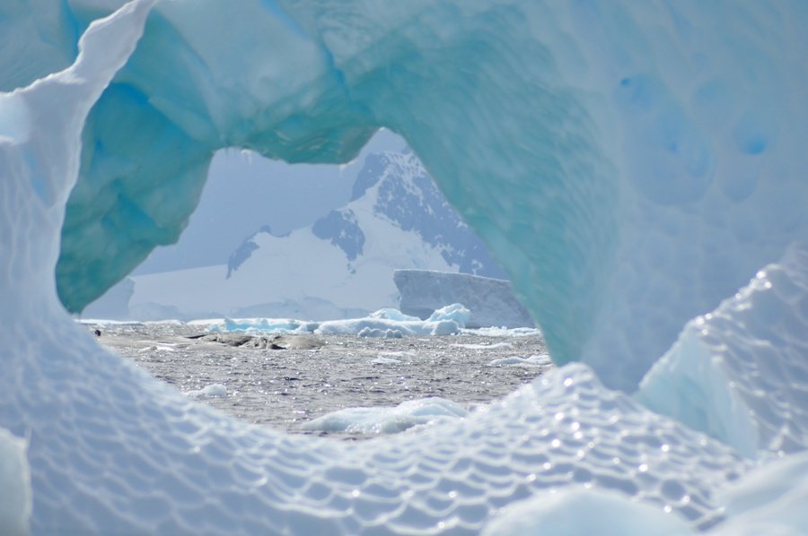 IJsbergen en water Antarctica