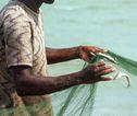 Lokale vissers Sri Lanka