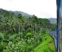 Lokale trein