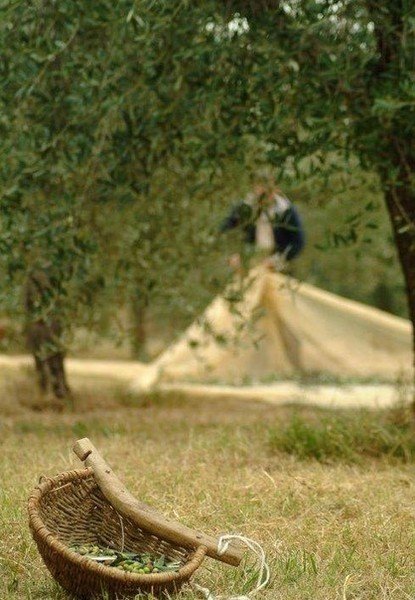 Toscane landschap, Italie