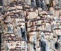 Rondreis Spitsbergen