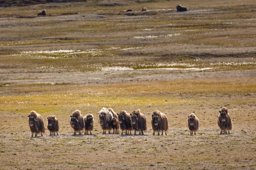 Natuur en dieren