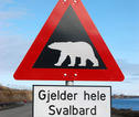 Waarschuwingsbord IJsbeer