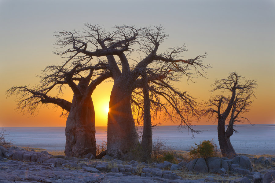 Makgadikgadi zoutvlaktes