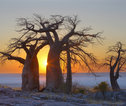Makgadikgadi zoutvlaktes