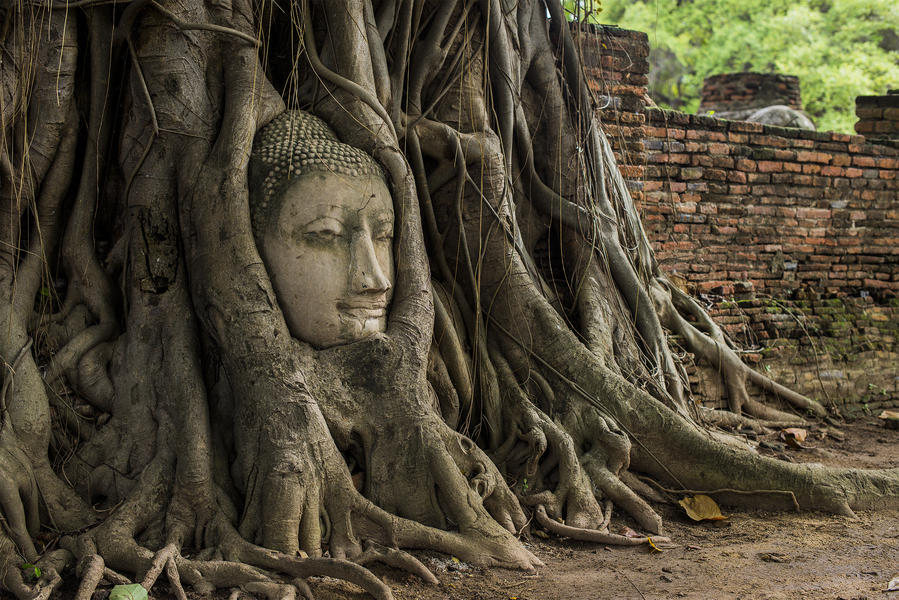 Ayutthaya NP