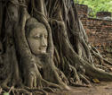 Ayutthaya NP