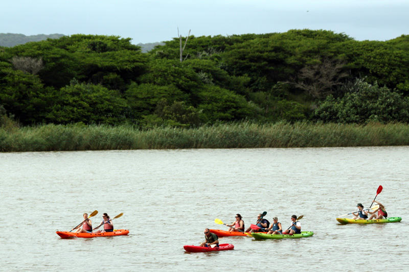 kajakken zuid afrika
