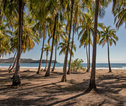 Costa Rica strand, rotsen palmbomen