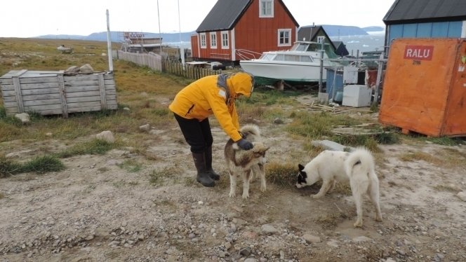 Arctisch Canada & Groenland