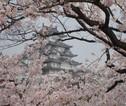 Himeji kasteel