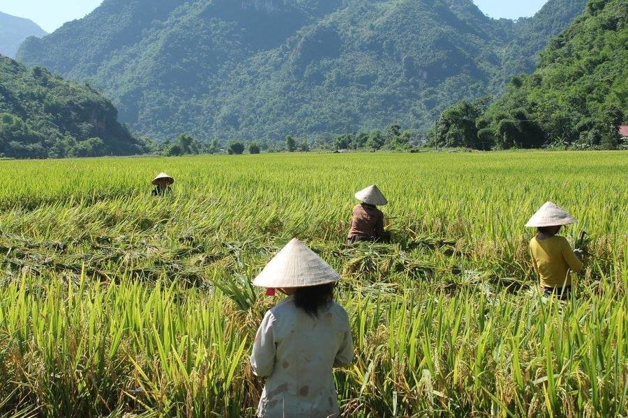 Pu Luong Natuurreservaat