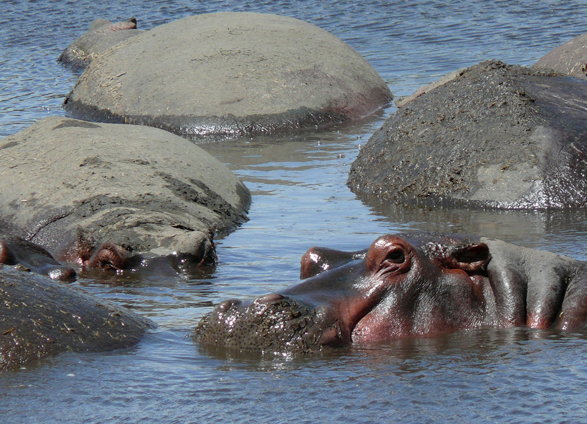 Rondreis Tanzania