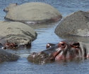Rondreis Tanzania