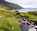 Rondreis Ierland