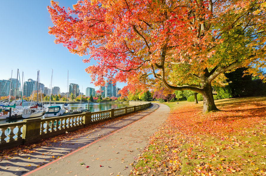 Stanley park Vancouver - Canada