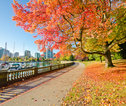 Stanley park Vancouver - Canada
