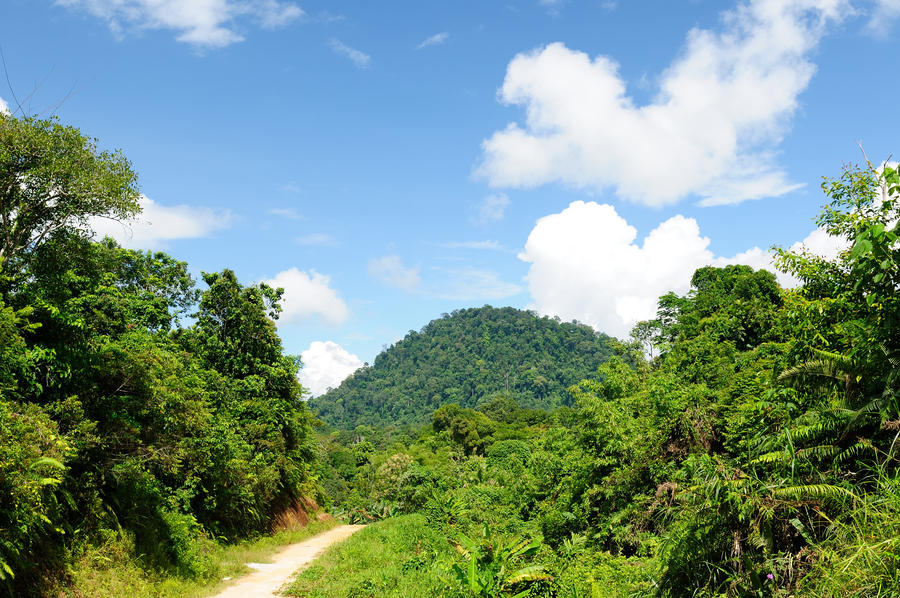 Kalimantan, onderweg