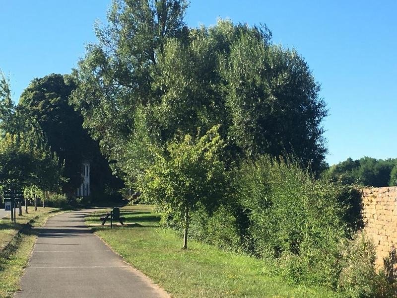 Fietsvakantie Frankrijk Bourgogne families