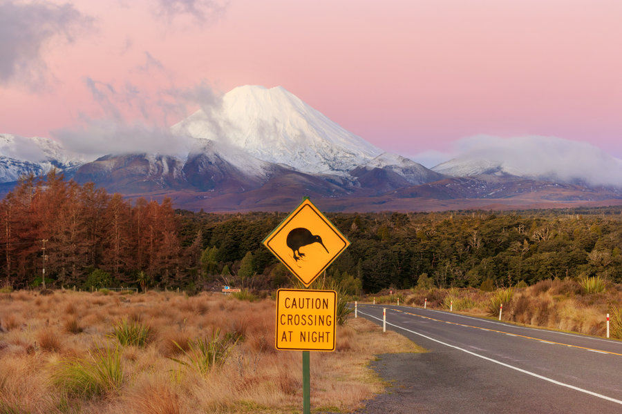Tongariro