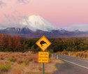 Tongariro