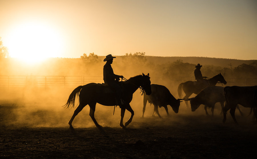 Kimberley regio  cowboys