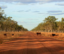 Gibb river road
