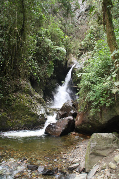 familiereis Colombia