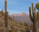 Landschap Peru