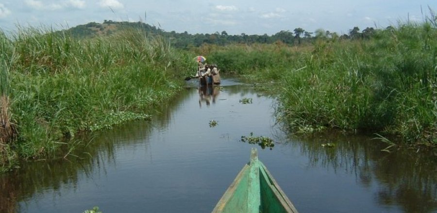 Mabamba Swamp