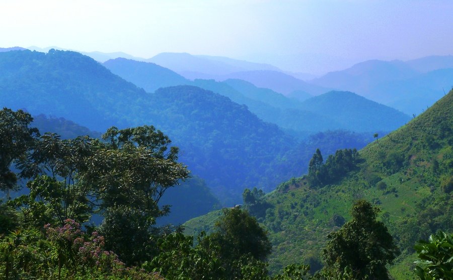 Bwindi