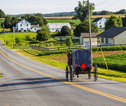 Amish