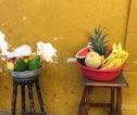 Cartagena