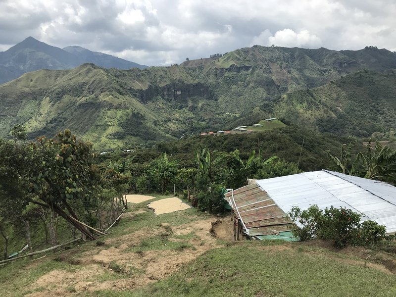 Rondreis Colombia Koffiestreek