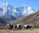 Rondreis Nepal Everest Base Camp Trek